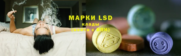 спиды Горнозаводск